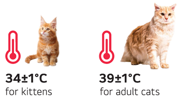 Easy to Move photo 1